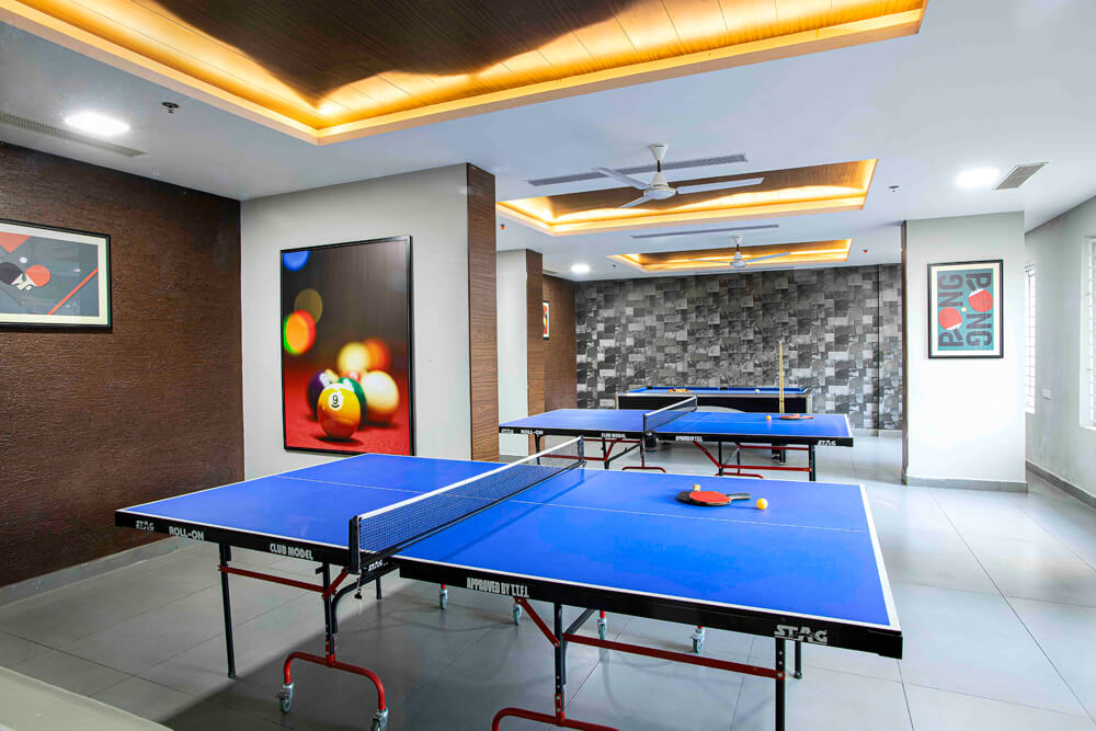 Green Vistas Prakritti, Table Tennis