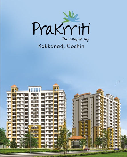 Overview – Kakkanad
